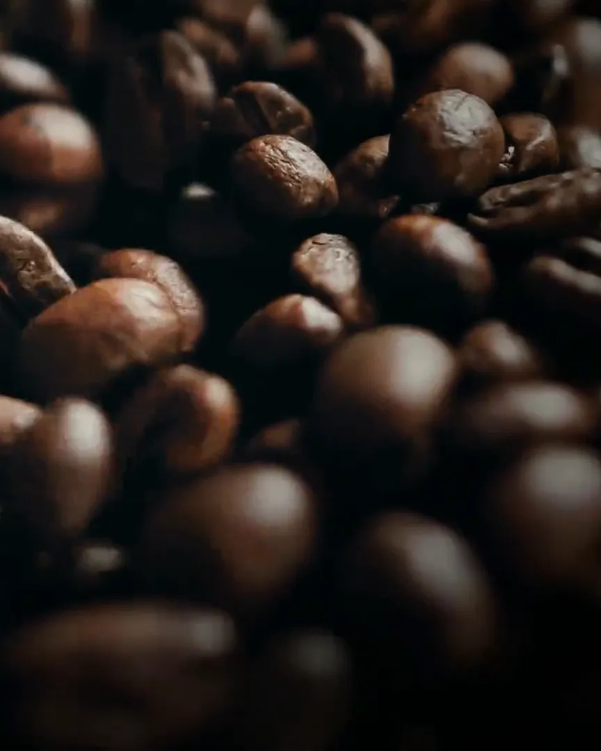Close-up of roasted coffee beans under warm light