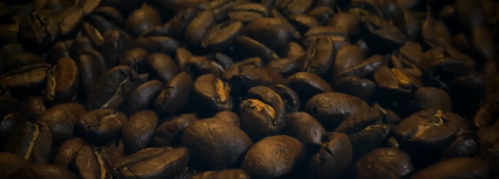 A bed of dark roasted coffee beans